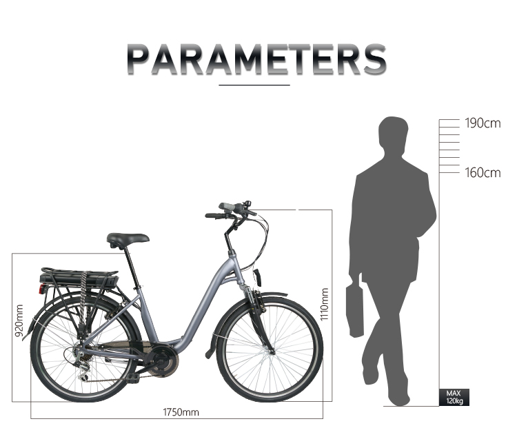 36v 250w Electric Bicycle ebike for adult