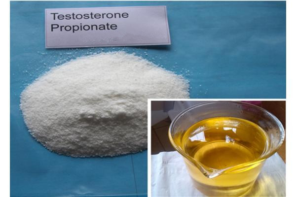 CAS 57-85-2 Injectable Steroid Compound Testosterone Propionate