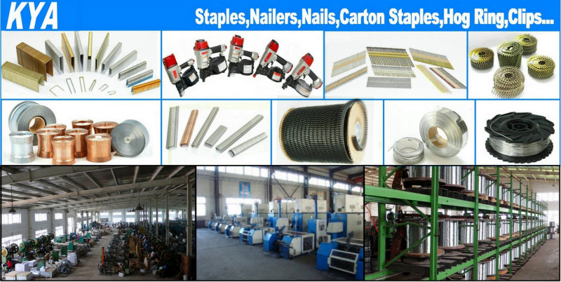 Cl24 Hog Ring Staples for Spring Wire Mattress