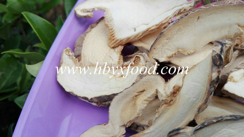 Dried Sliced Pleurotus Eryngii Mushroom Best Price