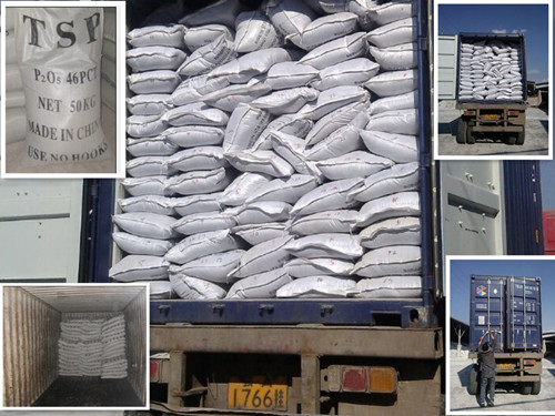 Triple Superphosphate (Granular phosphate fertilizer TSP 46 %)