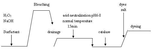 Textile Dyeing Process Catalase