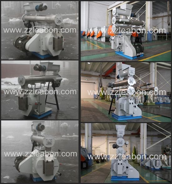 Ring Die Pelletizer Machine for Animal Feeds