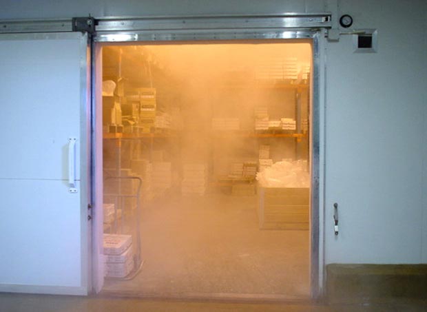 High Quality Cold Room for Forzen Food