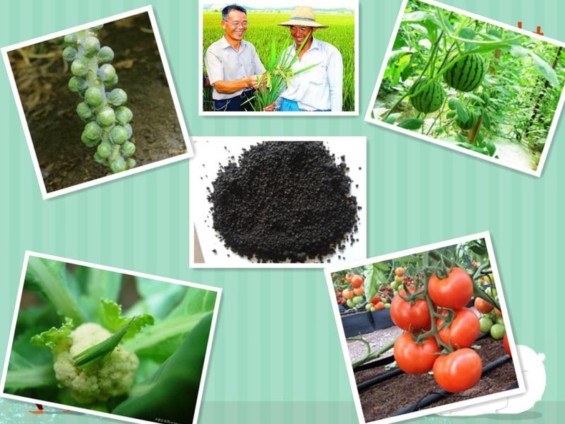 Agrochemical Npkn-P-K Compound Potassium Humate Organic Fertilizer