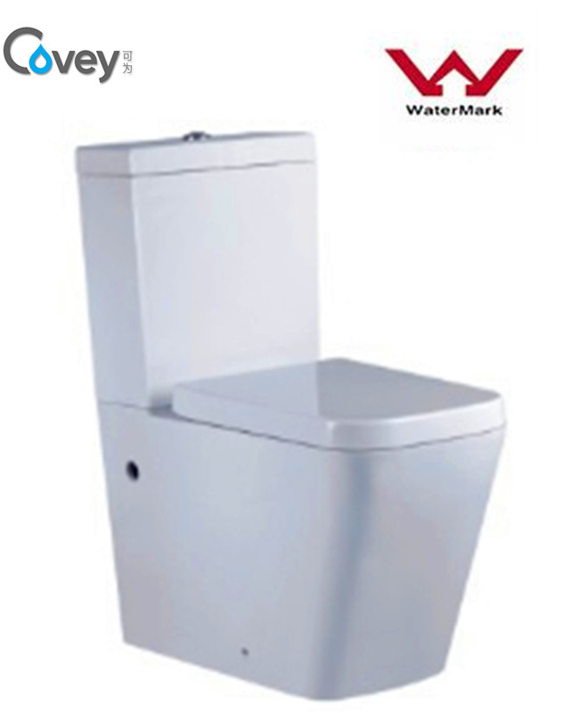 Washdown One Piece Cremic Toilet with Ce Standard (CVT2051A)