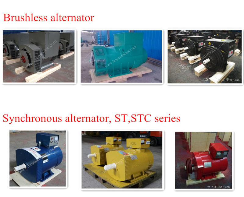 St Single Phase Permanent Magnet Electric Generator 3kw~25kw