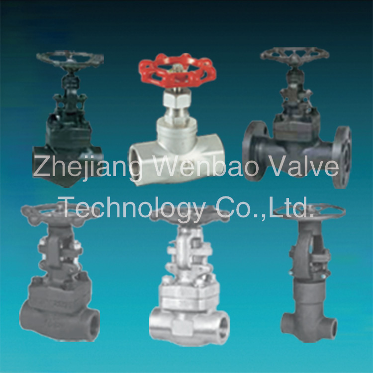 Female Screwed Forged Steel Gate Valve with Good Sealing Bonnet