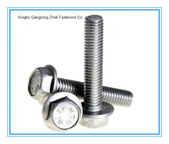 M5-M30 of Hex Flange Bolts with Carbon Steel