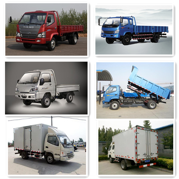 Tking 4X2 Diesel Engine 1t Small Cargo Truck