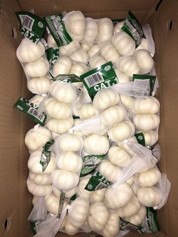 5.0-5.5cm Pure White Garlic