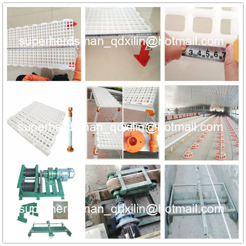 Automatic Poultry Control Shed Equipment for Breeder