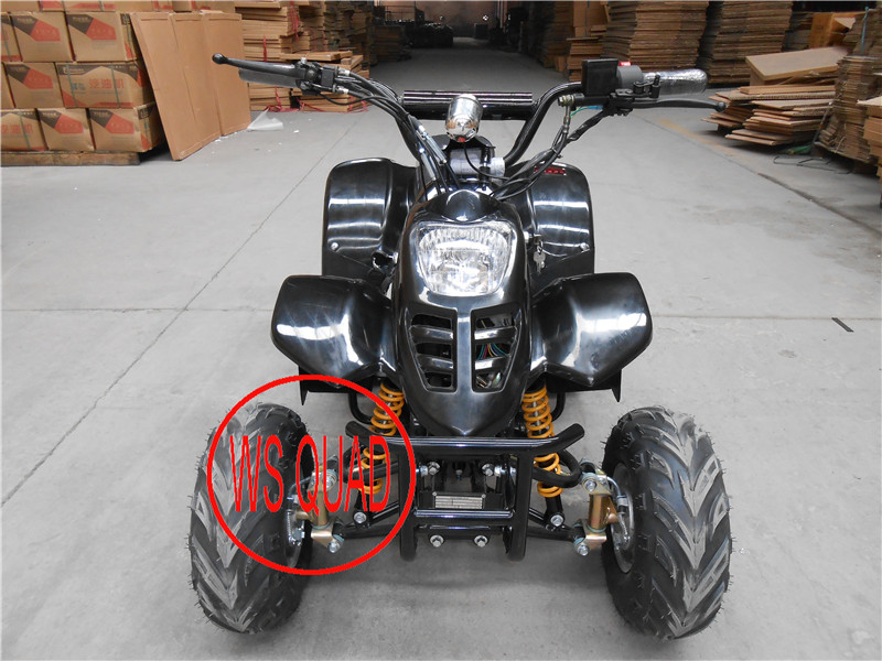 CE Approval 800W Adult Electric ATV, 9 Color Can Choose Electric ATV Quads