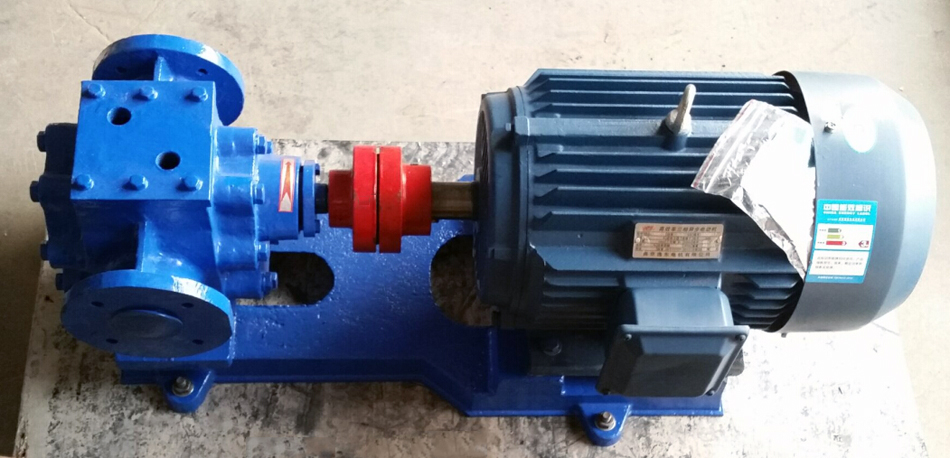 Paraffin Gear Pump