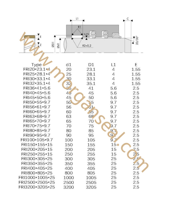 FRI Series Hydraulic Wear Ring/Cylinder Rod Guide Ring Seal