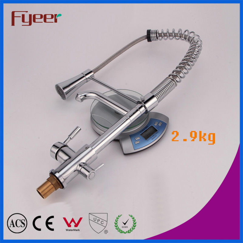 Fyeer Pull out Spray Kitchen Faucet with Water Flow Filter Tap