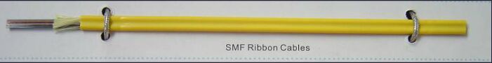 12f Ribbon Sm Cable