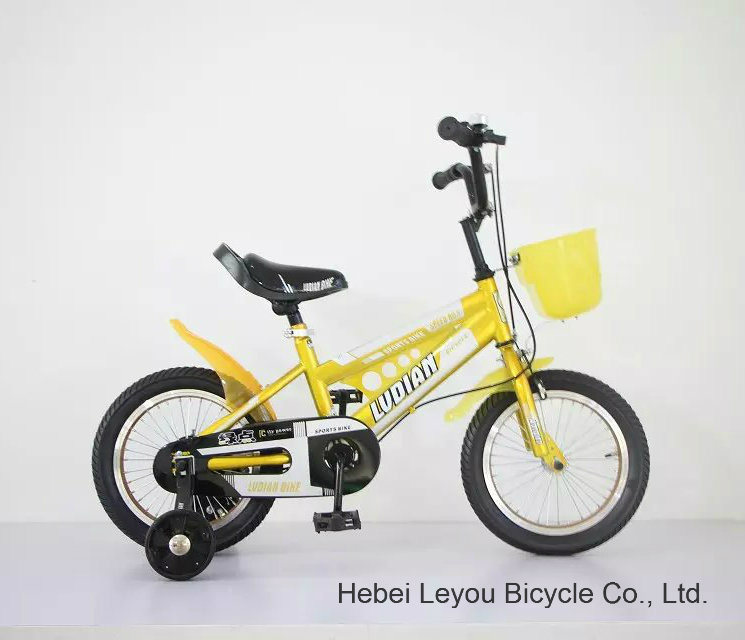 Children Bicycle for Cool Boys and Girls