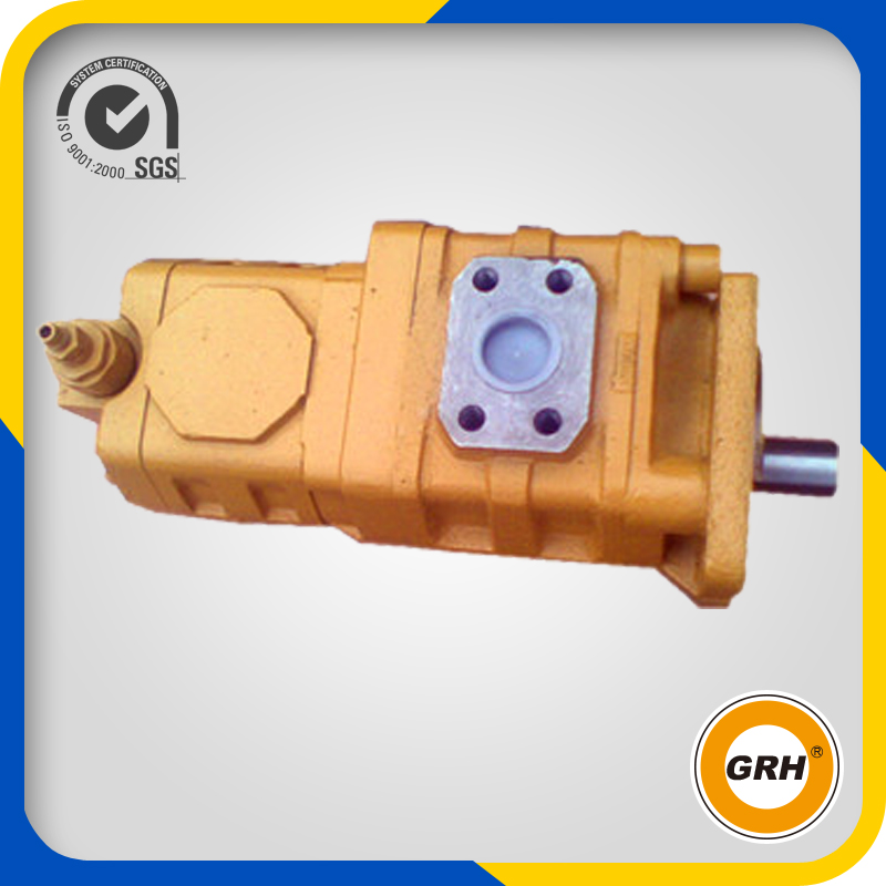 Double Gear Oil Pump Cbhy-G36/F3.5-at Hydraulic Pump