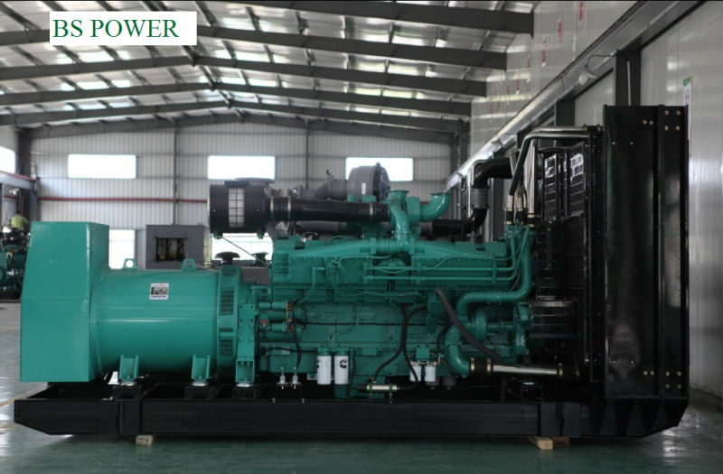 Natural Gas Generator Set (BCX30)