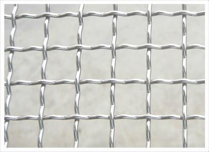 Galvanized Stainless Steel Wire Mesh Crimp Wire Mesh