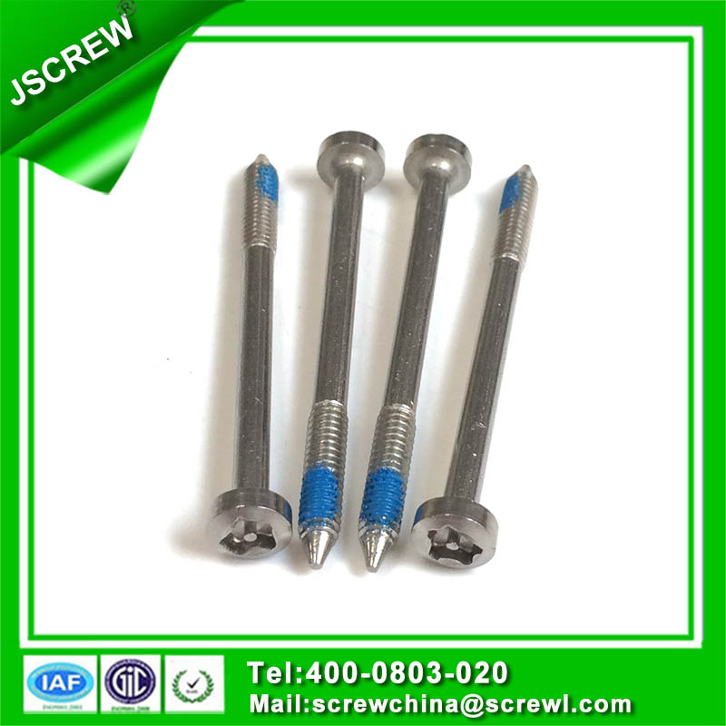 China Factory Directly Tamper-Resistant Screw