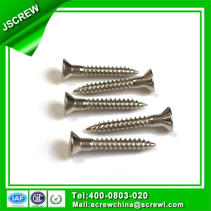 Customized Made Stainless Steel 304 Torx Concrete Roofing Screws