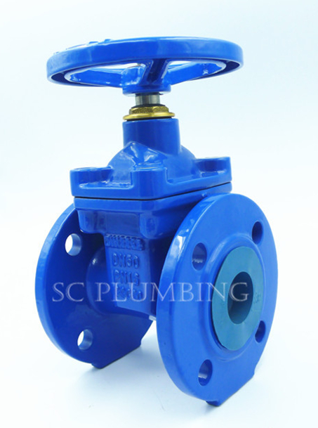 Din3352-F4/F5 Resilient Seated Gate Valve Flanged End Non Rising Stem
