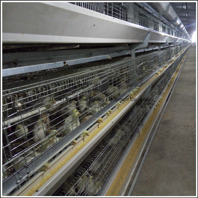 Long Life Galvanized H Type Rearing Chicken Cage