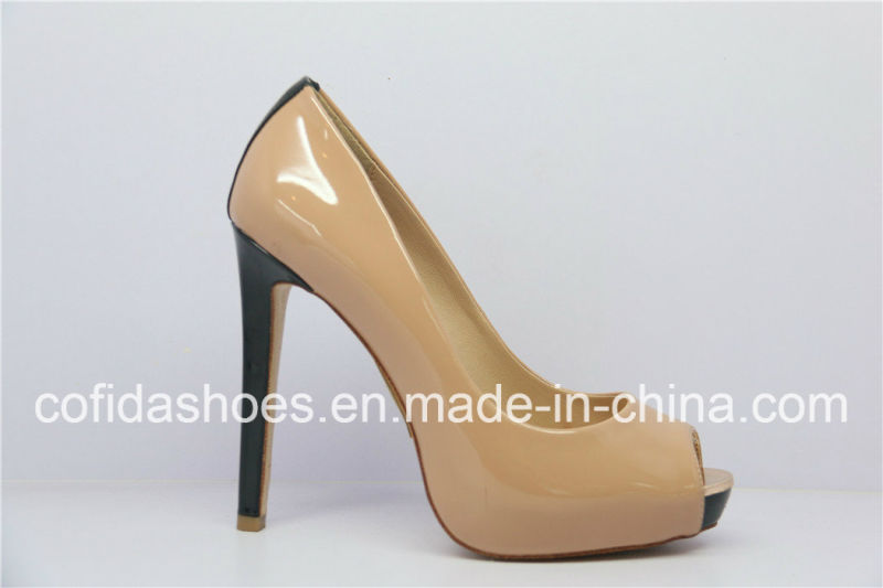 Elegant High Heels Multi Design Women Shoe