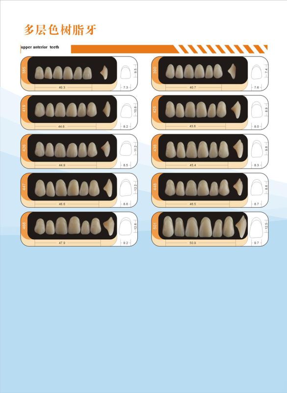 2-Layer Acrylic Teeth for Posterior Packing