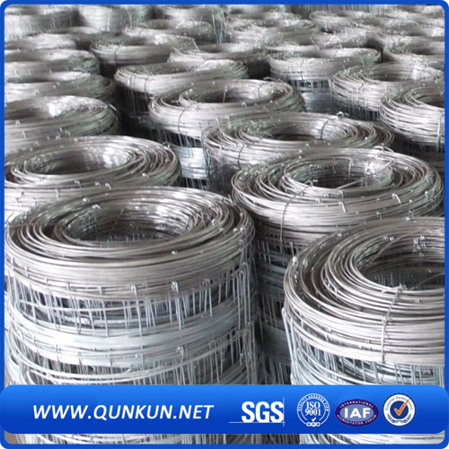 Galvanized Field Farm Fence in China Market