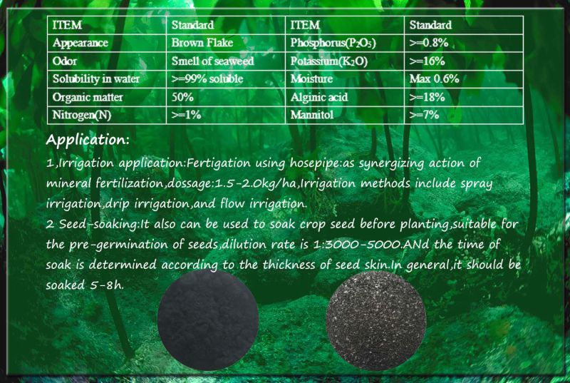 Seaweed Alginic Acid Fertilizer