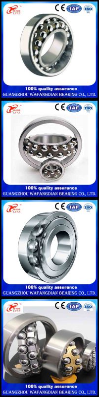 Stainless Steel Self-Aligning Ball Bearing 108 126 127 129 1200 1201 1202 1203 1203k