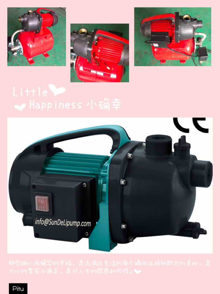 (SDP600-2) Garden Surface Water Pump Centrifugal Pump High Pressure Hot Summer Pump