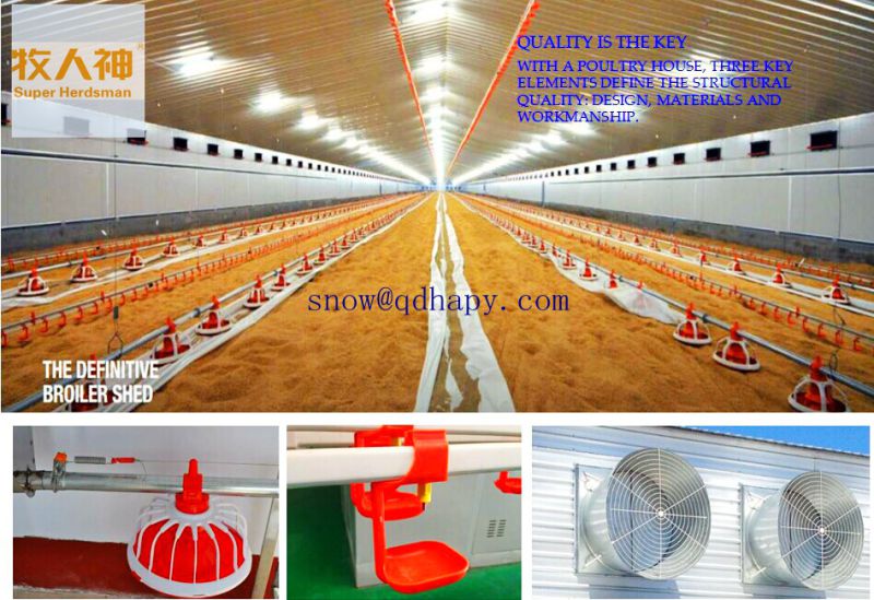 Automatic Equipment in Poultry House with Prefab House Construction