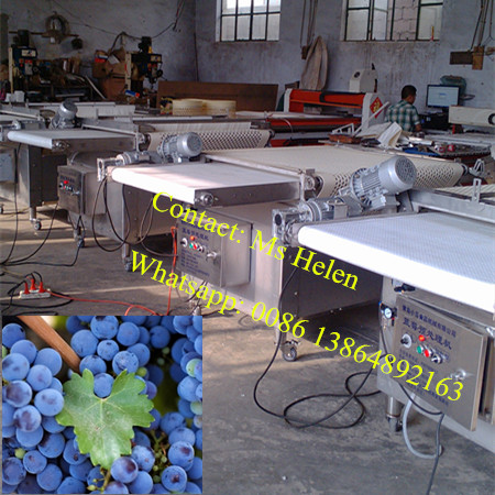 Automatic Cherry Potato Sorting Machine/ Blueberry Grading Line