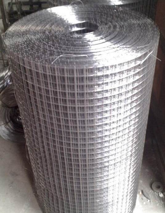 Galvanized Welded Wire Mesh of 1/4