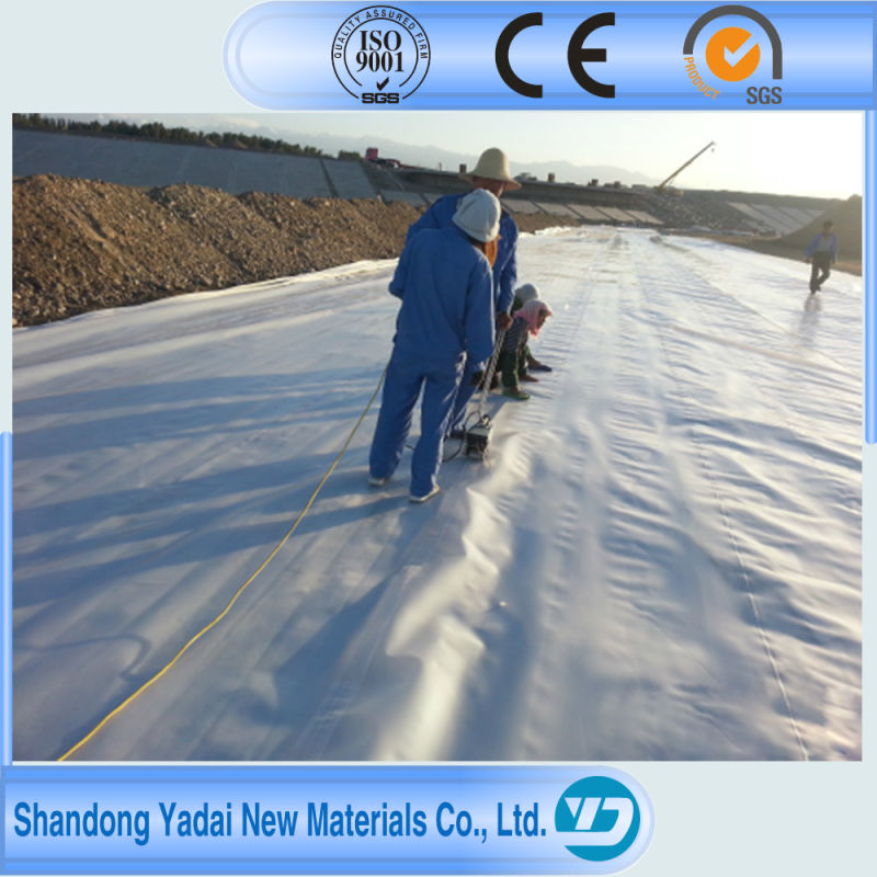 HDPE Pond Liner Geomembrane for Shrimp Farm Lining