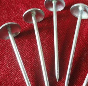 China Supplier Galvanized Roofing Nails