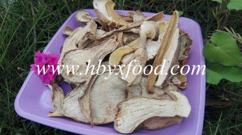 Dried Organic Porcini Mushrooms From Yunnan