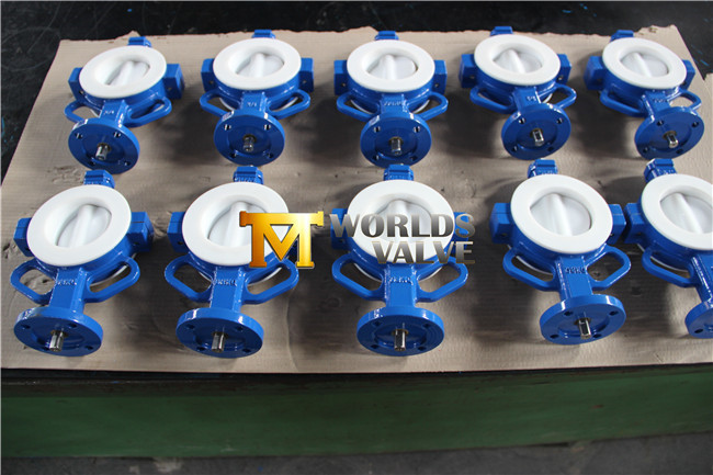 Wafer Type Butterfly Valve with PTFE Liner