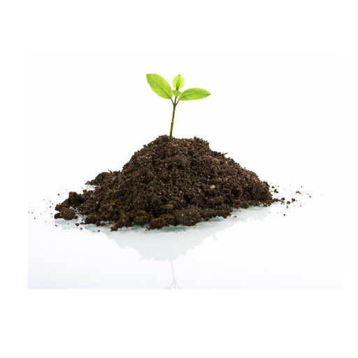 High Purity Organic manure/ Seaweed Extract Powder