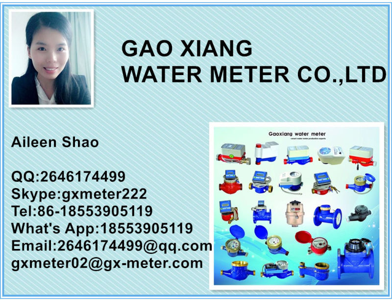 Ss 304 Stainless Steel Water Flow Meter in Size 15-40mm