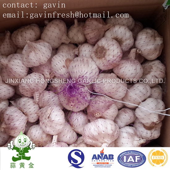 8kgs Loose Mesh Bag Packing Normal White Garlic