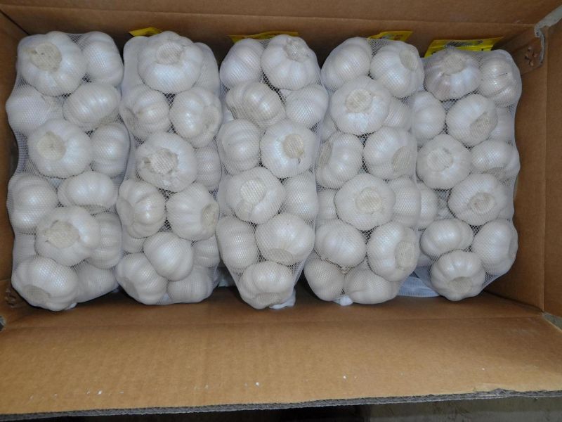 Carton Packing Normal White Garlic (4.5cm and up)