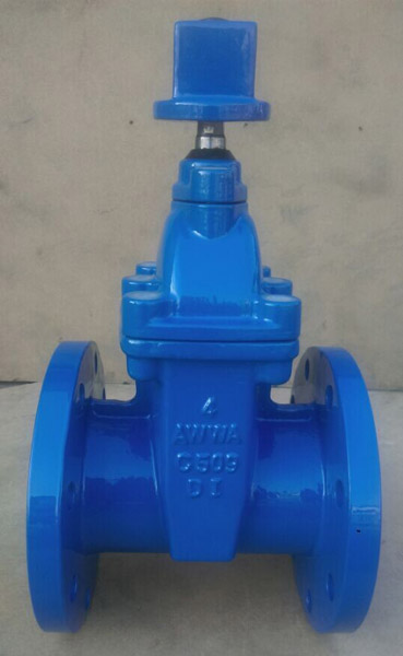 ANSI Standard Rising Stem Resililent Gate Valve