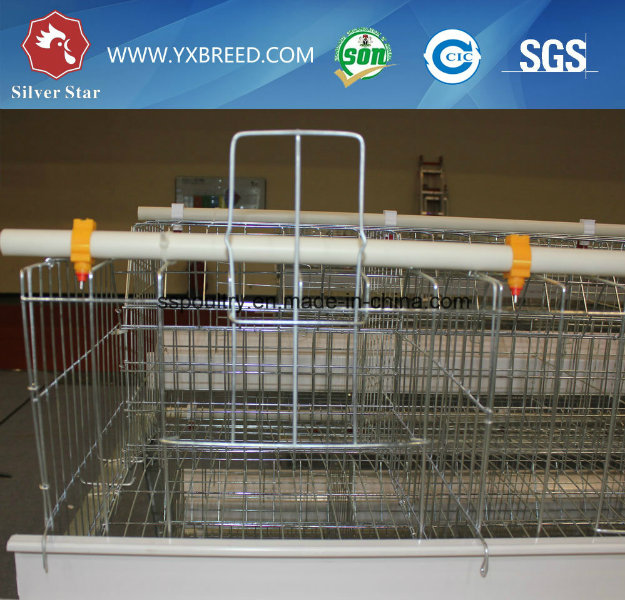 Best Sell Battery Layer Chicken Cages