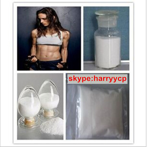 T4 L-Thyroxine/ Levothyroxine Sodium/ T4 51-48-9 Effective Fat Burner