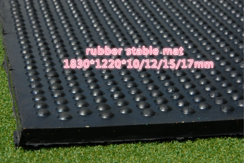 Fitness Center Shock Absorption Rubber Tile